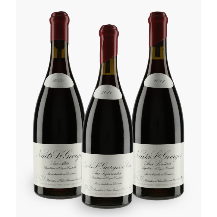 Horizontale Nuits-Saint-Georges Domaine Leroy | LEROY DOMAINE