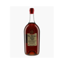 Bas-Armagnac V.S.O.P | DELORD