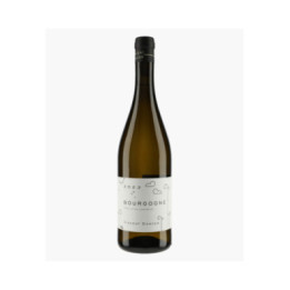 Bourgogne | DANCER VINCENT