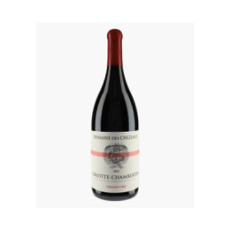 Griotte-Chambertin Grand Cru 2023 | DOMAINE DES CHEZEAUX