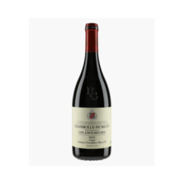 Chambolle-Musigny 1er Cru Les Amoureuses 2021 | GROFFIER ROBERT PERE & FILS
