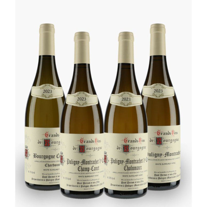 Horizontale Pernot Paul 2023 | PERNOT PAUL