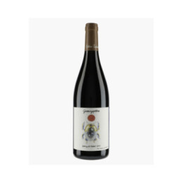 Côteaux Bourguignons Gamayoptère Gamay du Pierrot 2023 | LIENHARDT ANTOINE