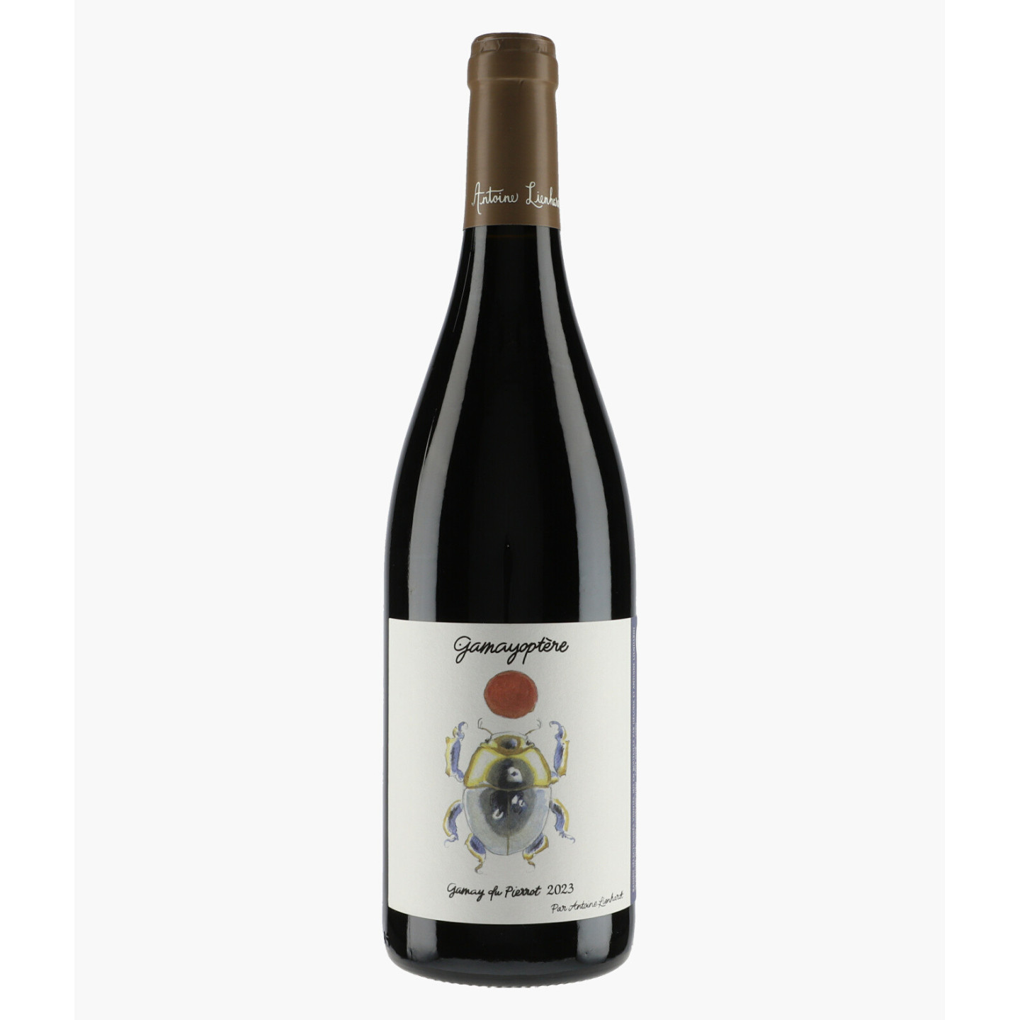 Côteaux Bourguignons Gamayoptère Gamay du Pierrot | LIENHARDT ANTOINE