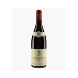 Chambolle-Musigny 1er Cru Les Amoureuses | BERTHEAU FRANCOIS