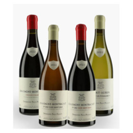 Horizontale Paul Pillot 2022 | PILLOT PAUL