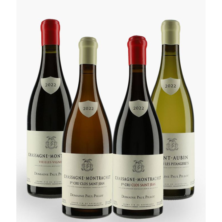 Horizontale Paul Pillot 2022 | PILLOT PAUL