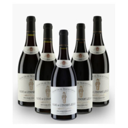 Verticale Vigne de l'Enfant Jésus 2017/2018/2019/2020/2021 Bouchard Père & Fils | BOUCHARD PERE & FILS