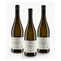 Horizontale Vincent Dancer 2022 | DANCER VINCENT
