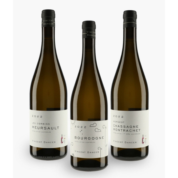 Horizontale Vincent Dancer 2022 | DANCER VINCENT