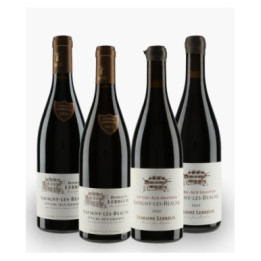 Verticale Savigny-Les-Beaune 1er Cru Aux Gravains 2020/2021/2022/2023 GRAVAINS Lebreuil Jean-Baptiste | LEBREUIL JEAN-BAPTISTE