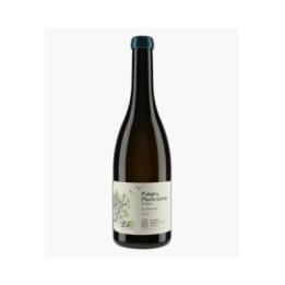 Puligny-Montrachet 1er Cru La Garenne 2024 | MAISON GAUTHERON D'ANOST