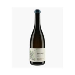 Bourgogne Dijon 2024 | MAISON GAUTHERON D'ANOST