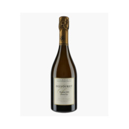 Champagne Grand Cru Millésimé 2016 | EGLY-OURIET