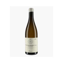 Puligny-Montrachet 1er Cru Champ Gain 2024 | PERNOT ALVINA