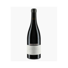 Santenay 1er Cru Les Gravières | COLIN BRUNO