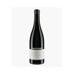 Santenay Vieilles Vignes | COLIN BRUNO