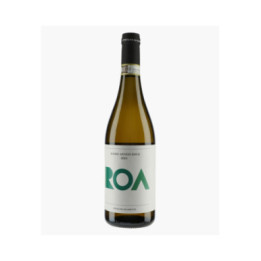 Roero Arneis | OCCHETTI STEFANO