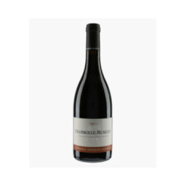 Chambolle-Musigny 2011 | ARNOUX-LACHAUX