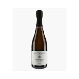 Champagne Bouzy Grand Cru Les Maillerettes Vieilles Vignes Pinot Noir 2020 | PAILLARD PIERRE