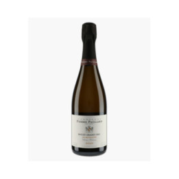 Champagne Bouzy Grand Cru Les Mottelettes Vieilles Vigne Chardonnay 2020 | PAILLARD PIERRE