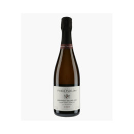 Ambonnay Grand Cru Brut Millésime 2020 | PAILLARD PIERRE