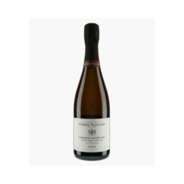 Champagne Verzenay Grand Cru Vieilles Vignes Pinot Noir 2020 | PAILLARD PIERRE