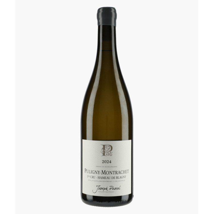 Puligny-Montrachet 1er Cru Hameau de Blagny 2024 | PASCAL JOSEPH