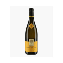 Chablis 1er Cru Troesmes | POMMIER DENIS