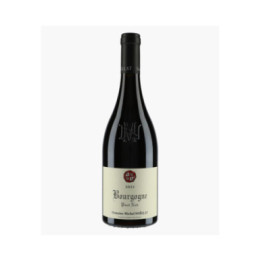 Bourgogne Pinot Noir 2023 | NOELLAT MICHEL