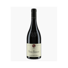 Vosne-Romanée 2023 | NOELLAT MICHEL