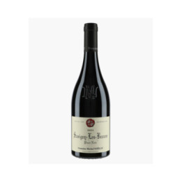 Savigny-les-Beaune 2023 | NOELLAT MICHEL