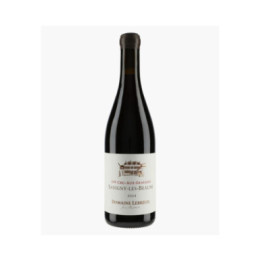 Savigny-les-Beaune 1er Cru Aux Gravains 2024 | LEBREUIL PIERRE & J-B