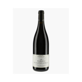 Bourgogne Hautes-Côtes de Beaune V.V 2024 | NICOLAS
