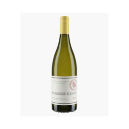 Bourgogne Aligoté | MARQUIS D'ANGERVILLE