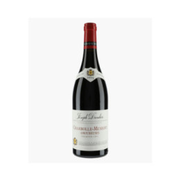 Chambolle-Musigny 1er Cru Amoureuses 2023 | DROUHIN JOSEPH