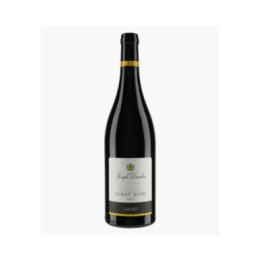 Bourgogne Pinot Noir Laforêt 2023 | DROUHIN JOSEPH