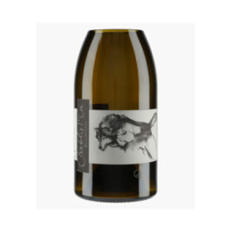 Vase Q de Bouteilles Chablis 1er Cru Beauregard 2013 Pattes Loup | PATTES-LOUP - THOMAS PICO