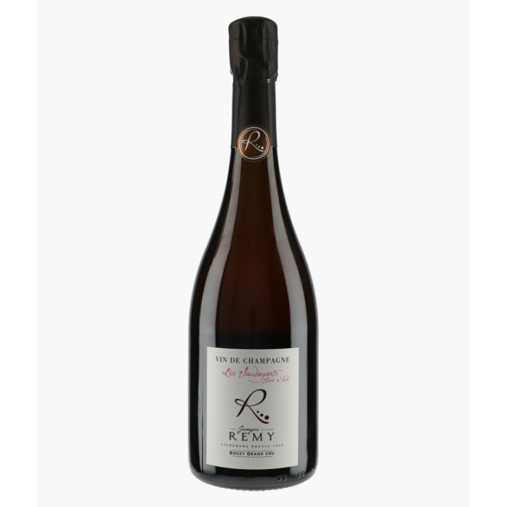 Champagne Les Vaudayants Rosé N°22 | GEORGES REMY