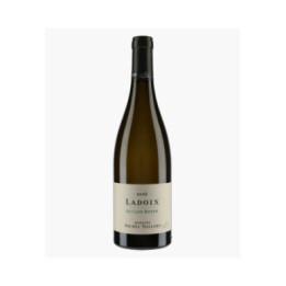 Ladoix Le Clos Royer 2023 | MALLARD MICHEL