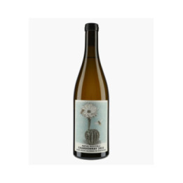 Suelos Calceros Chardonnay | RICCITELLI MATIAS
