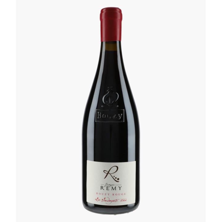Côteaux Champenois Bouzy Rouge Les Vaudayants 2022 | GEORGES REMY