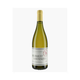Meursault 1er Cru Santenots | MARQUIS D'ANGERVILLE