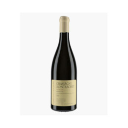Chassagne-Montrachet 1er Cru Morgeot 2023 | COLIN-MOREY PIERRE-YVES