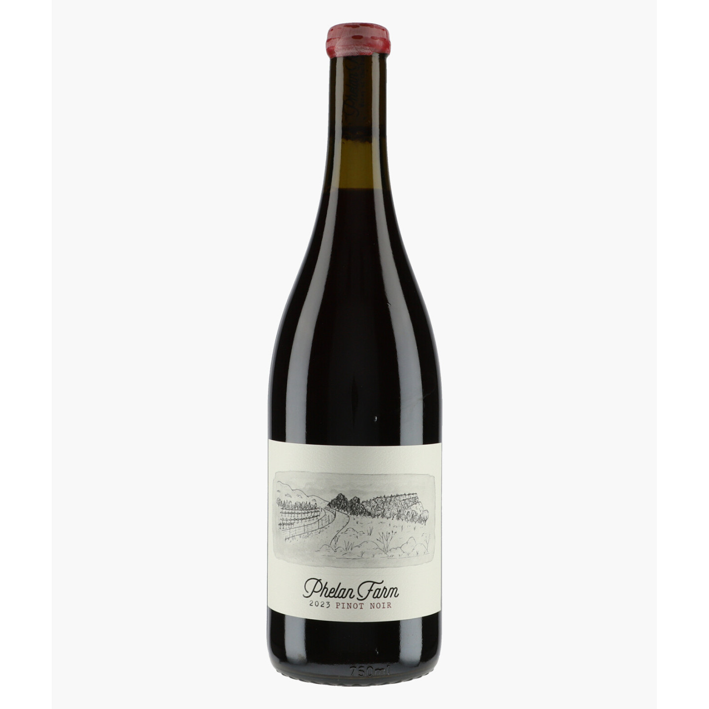 Pinot Noir | PHELAN FARM