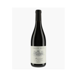 Pommard 1er Cru Rugiens | HEITZ ARMAND