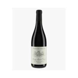 Morey-Saint-Denis 1er Cru Les Monts-Luisants | HEITZ ARMAND