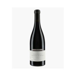 Santenay 1er Cru Les Gravières | COLIN BRUNO