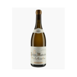 Puligny-Montrachet 1er Cru Les Champs-Gains 2023 | CHAVY JEAN-LOUIS