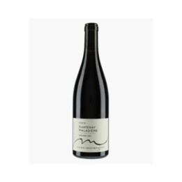 Santenay 1er Cru Maladière 2023 | MUZARD LUCIEN